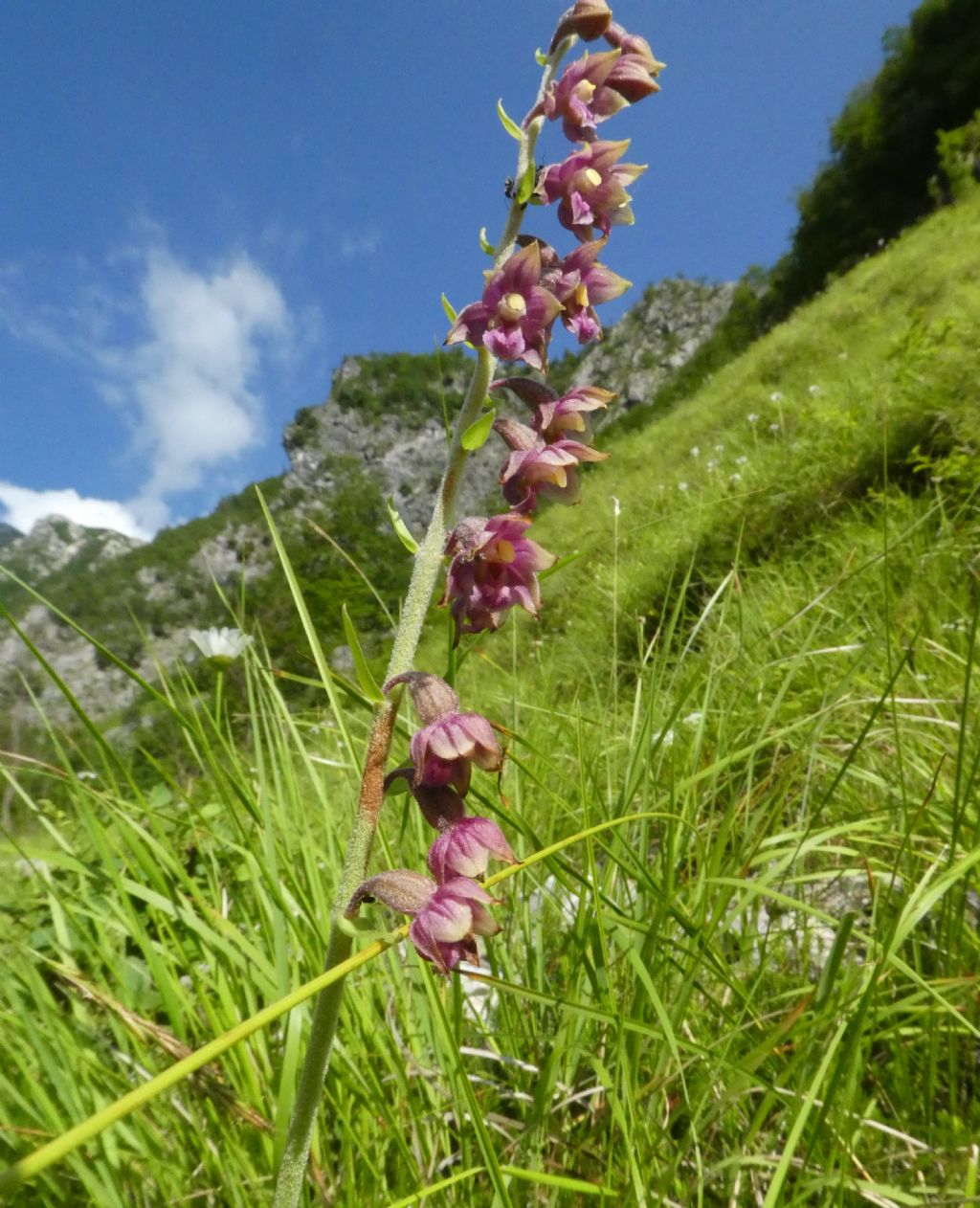 Alpi Apuane